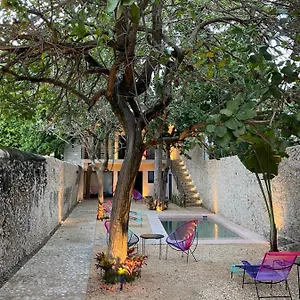 Aparthotel Hotelito Yum Kaax